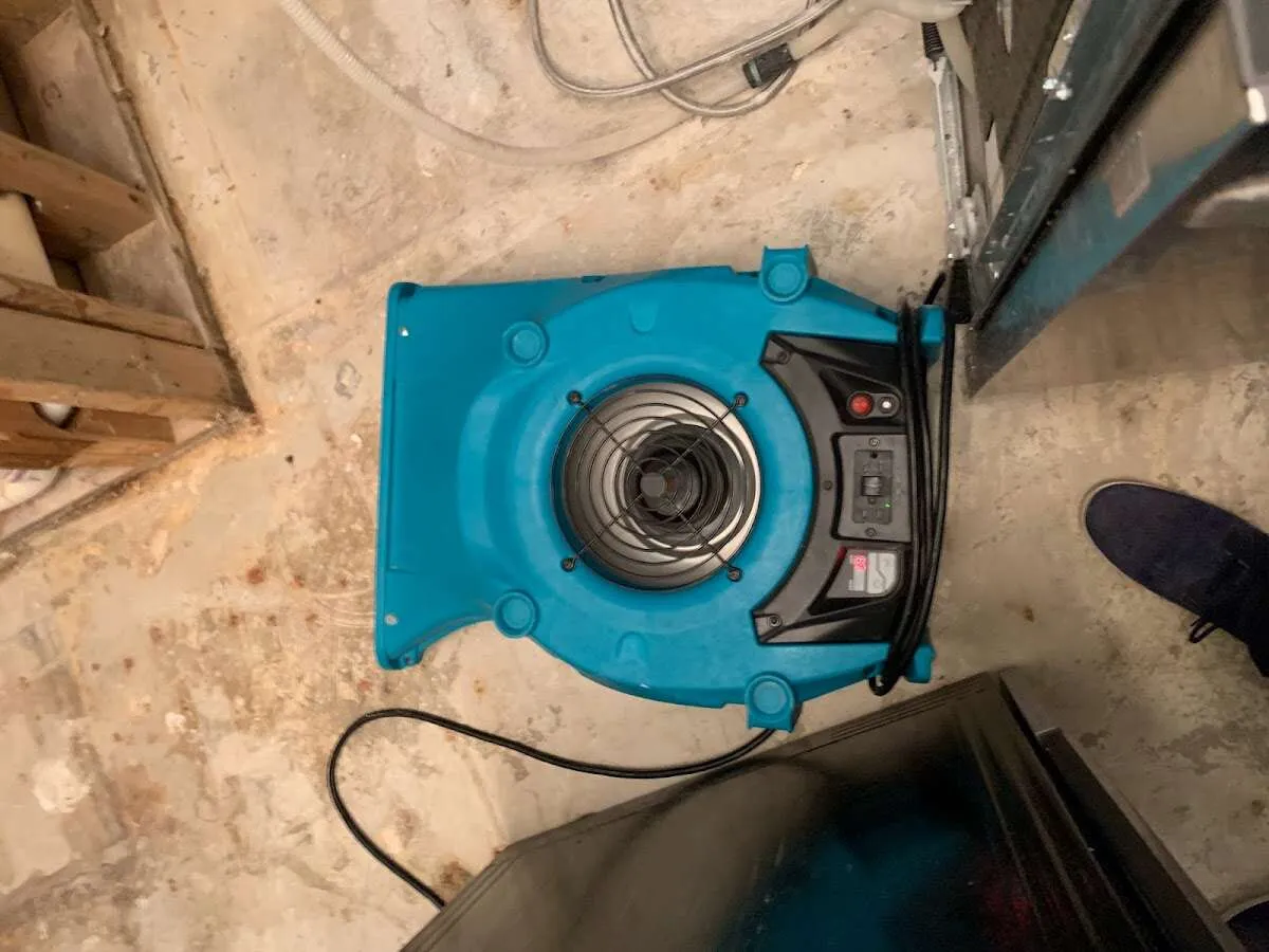 Air mover drying equipment for Mold Remediation & Removal in Halfmoon